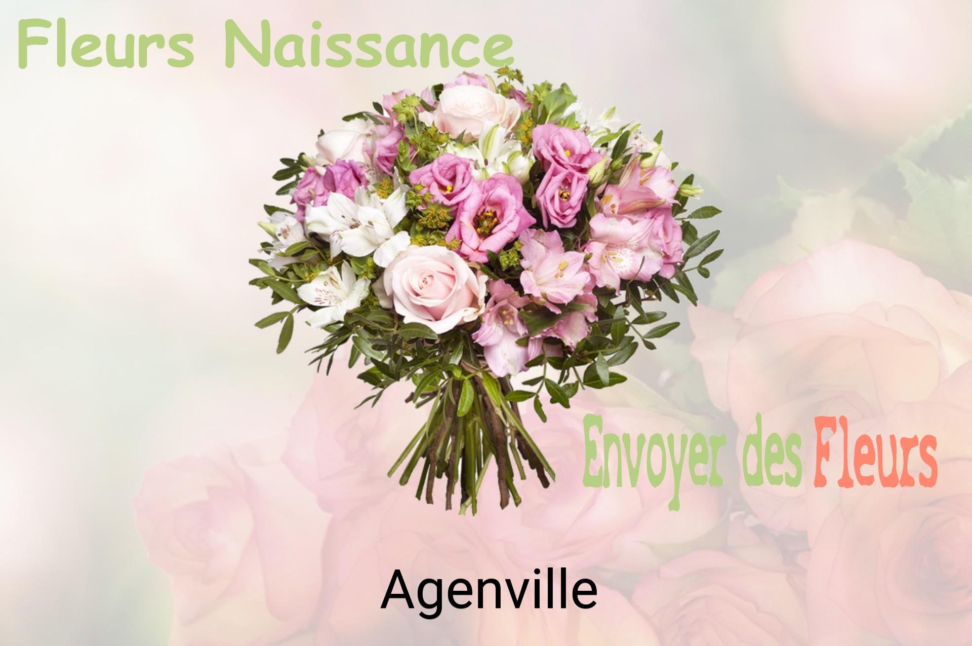 Bouquet de fleurs de naissance livré à Agenville